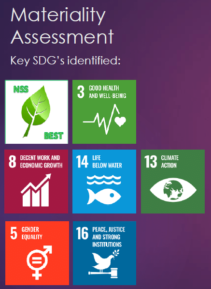 Sustainability 1